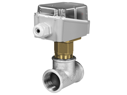 Industrietechnik SF4E Liquid Flow Switch | Brass | Low Flow Detection | R3/4” Tee Mount | IP65